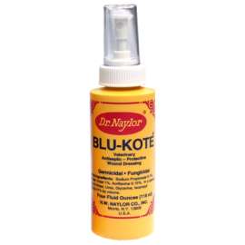 4OZ Antiseptic Spray