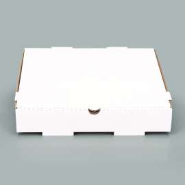 Corrugated Paper Boxes, 12 x 12 x 1.97, White/Kraft, 50/Carton