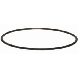 1" Housing O Ring