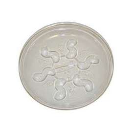 Gardener's Blue Ribbon Saucer Plus SP12 Plant Saucer, 12 in Dia, Plastic, Clear
