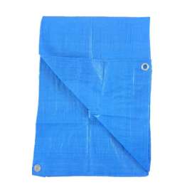 8x10 BLU LD Poly Tarp