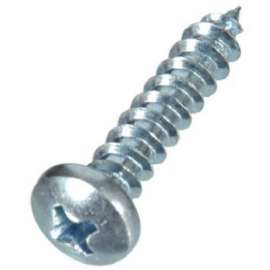 100PK 10x1 PH MTL Screw