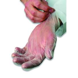 V5101 Series Latex-Free Powdered Vinyl Gloves, 3 mil, X-Large, Clear, 100/Box
