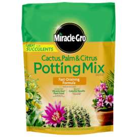 MG8QTCact/Palm/Citr Mix