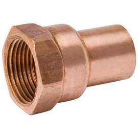 3/4 FPT Street Adapter