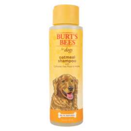 10OZ Oatmeal Shampoo