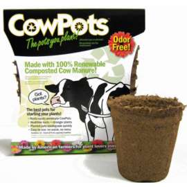 12PK 3" RND Cow Pot