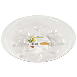 8" Saucer Plus