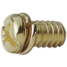 10PK BRS Motor Screw