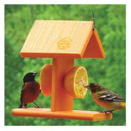 Recyc Oriole Feeder