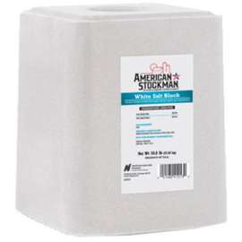 50LB WHT Block Ag Salt