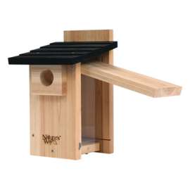 Ced Bluebird View House