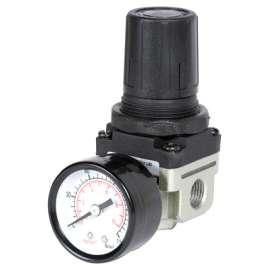 MM 1/4" Regulator/Gauge