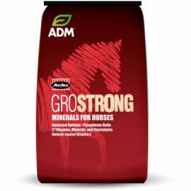 25LB Horse Vit/Mineral