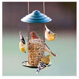 Mini SunFLWR Feeder