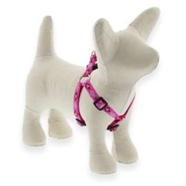 1/2x12-18 PL Harness