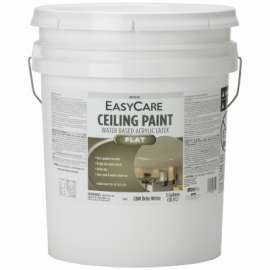SR 5GAL WHT Ceil Paint