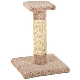 Kitty Cactus/NAT Rope