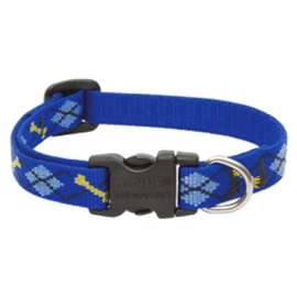 1/2x8-1/2 DD Dog Collar