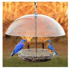 Dome Top Seed Feeder