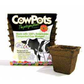 12PK 4" SQ Cow Pot