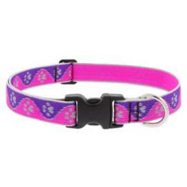 1x16-28" PP Dog Collar