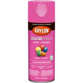 12OZ Mambo PNK Paint