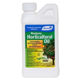 PT Horticultural Oil