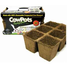 3PK 3" 6Cell Seed Tray
