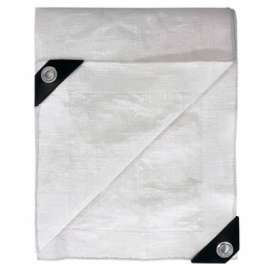 TG 8x10 WHT FR Tarp