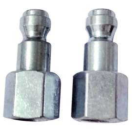 MM 2PK 1/4" FNPT Plug