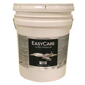EC 5G FLT CEILWHT Paint