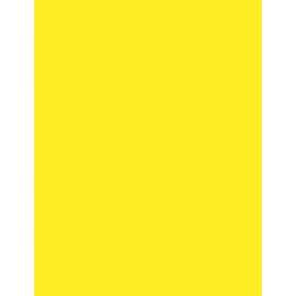 Pacon Neon Color Multi-purpose Paper