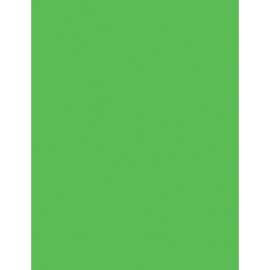 Pacon Neon Color Multi-purpose Paper