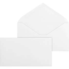 Bus. Source No. 6-3/4 V-Flap Business Envelopes
