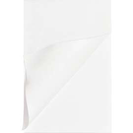 Bus. Source Plain Memo Pads