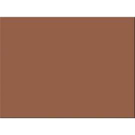 Pacon Tru-Ray Construction Paper