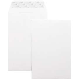 Bus. Source Self-Seal 6"x9" Catalog Envelopes