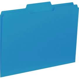 Bus. Source 1/3-cut Colored Interior File Folders
