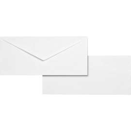 Bus. Source No. 10 V-Flap Business Envelopes