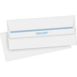 Bus. Source Regular Security Invoice Envelopes