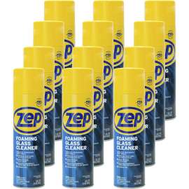 Foaming Glass Cleaner, Pleasant Scent, 19 oz Bottle, 12/Carton
