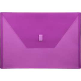 Lion Design-R-Line Poly Envelopes