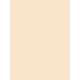 Pacon Heavyweight Tagboard Paper