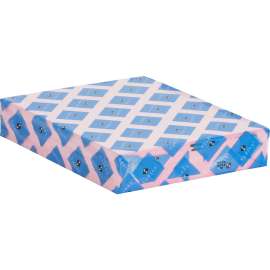 Sparco Premium Grade Pastel Color Copy Paper