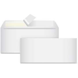 Bus. Source Peel-To-Seal Envelopes