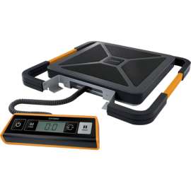Dymo Pelouze 250lb Digital USB Shipping Scale, 400 lb / 181 kg Maximum Weight Capacity, Silver