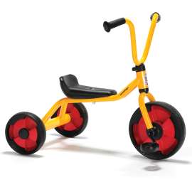 Toddler Trike