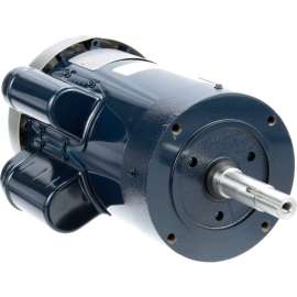 Allpoints 1331616 Motor For Powersoak