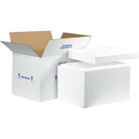 Foam Insulated Shipping Kit, 19"L x 12"W x 12-1/2"H, White